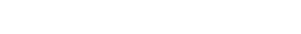 Flipper logo